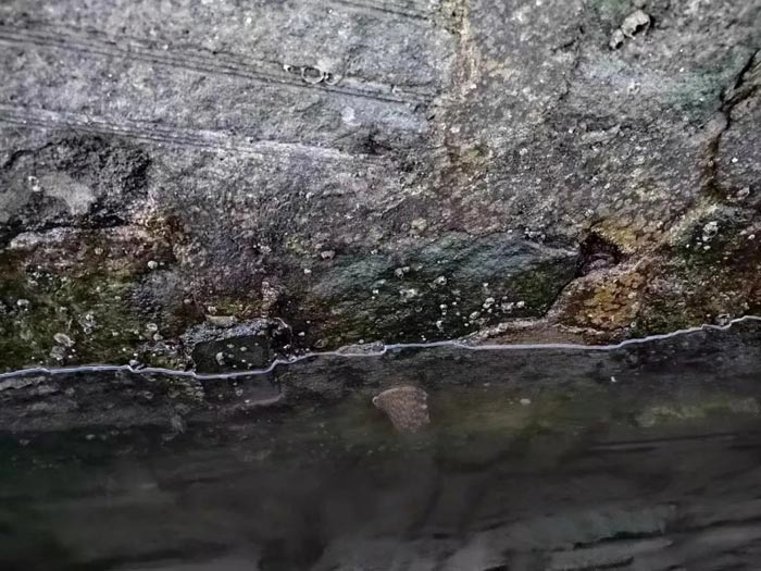 �ͼ����֡�H88(�й���)���鲩�����