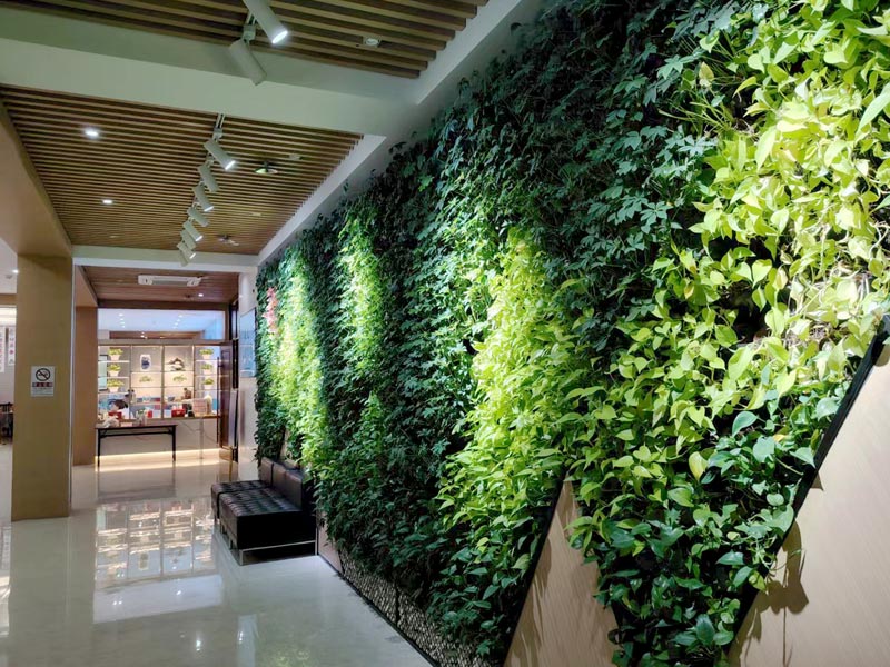 �ͼ����֡�H88(�й���)���鲩�����