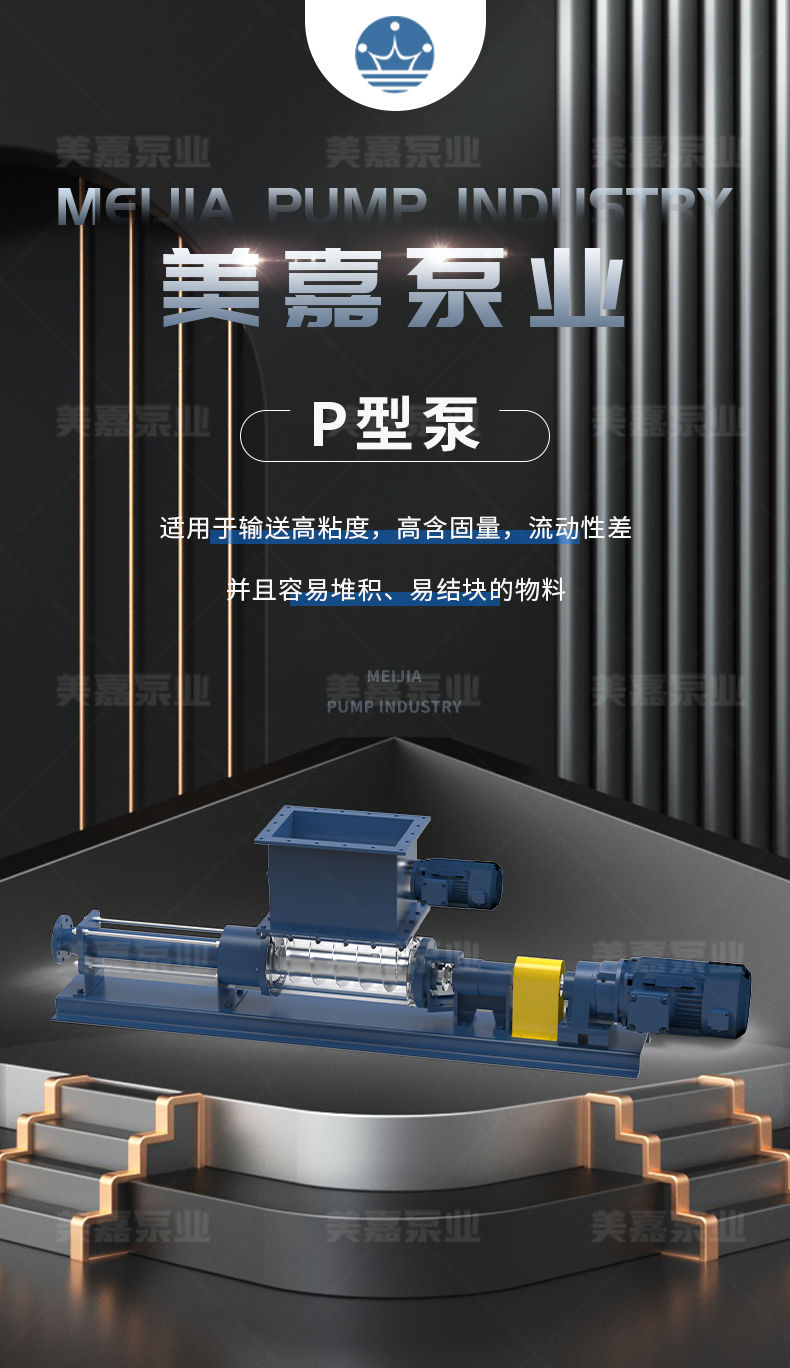 P型泵_01.jpg